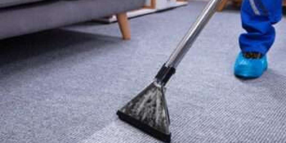 Creating a Healthy, Comfortable Home Starts with Carpet Cleaning